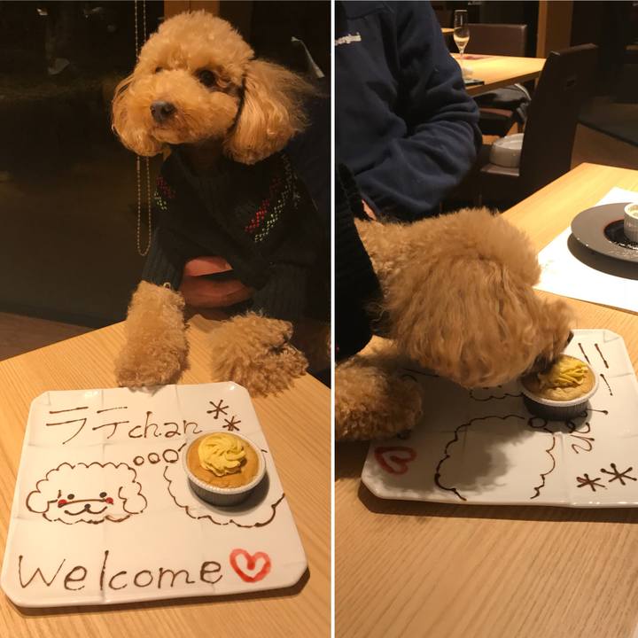 6eb5773d b49e 4804 8b13 2f86eec0584a 1513338963083