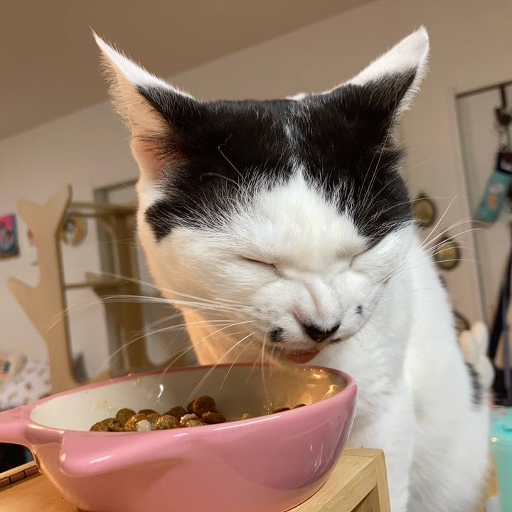 6eb5880b 57d8 412e 8df3 1f885db493f1 1763239235601