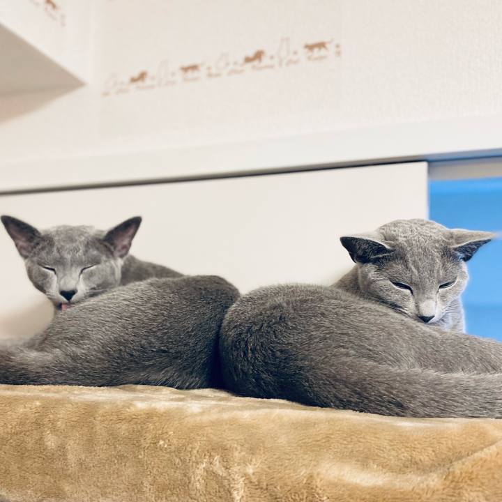 6eb5a430 980f 4c9f 8b74 d0d50245e697 1623849255794