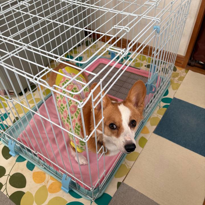 6eb5b96d 2b3f 4cb0 a877 7a427d6e13c6 1769496998659