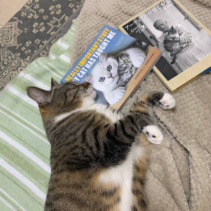 6eb5bde1 891a 4a67 ac1f b80c265d3ffb 1616940746527