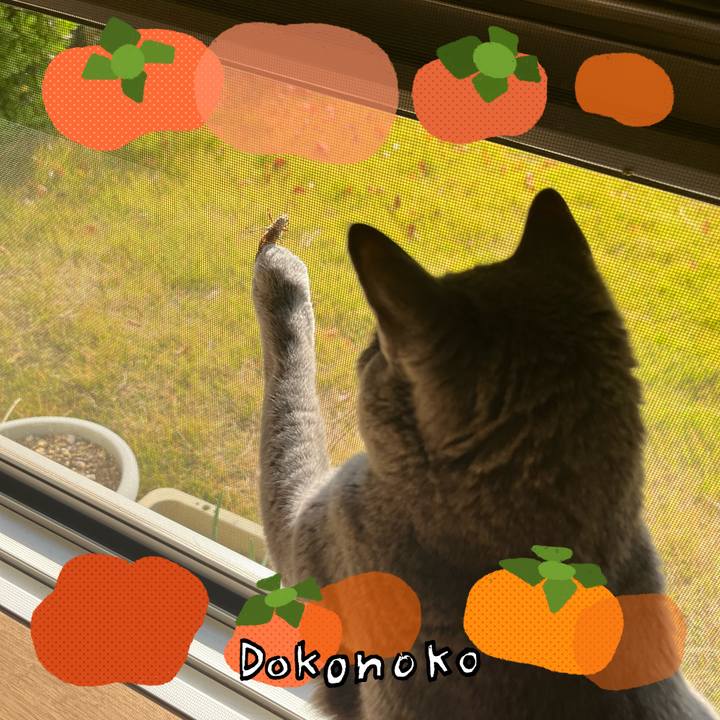 6eb5c41f 946a 49b3 a04b 4efb2b58872e 1763381190819