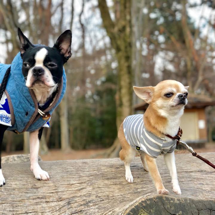 6eb6528f bd35 47d3 a5d4 bc11d60eacda 1517479837759