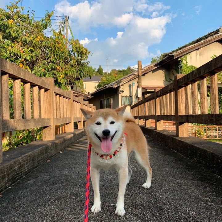 6eb667dc d8cc 4454 9b6d 8648fdeb0766 1664532944584