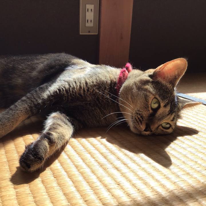 6eb67024 ad17 46a8 8084 5ad6b012e9c4 1600477702273