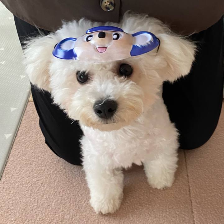 6eb677d4 fcda 44d8 ba4d 7f5fb08e7c1c 1756336043829