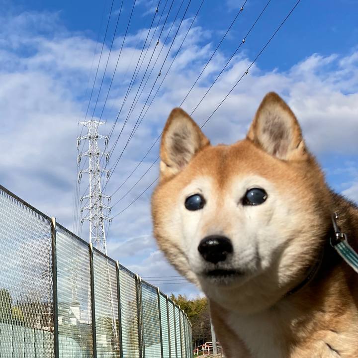 6eb6c350 c061 44df b30a ba9d22267182 1742369554767