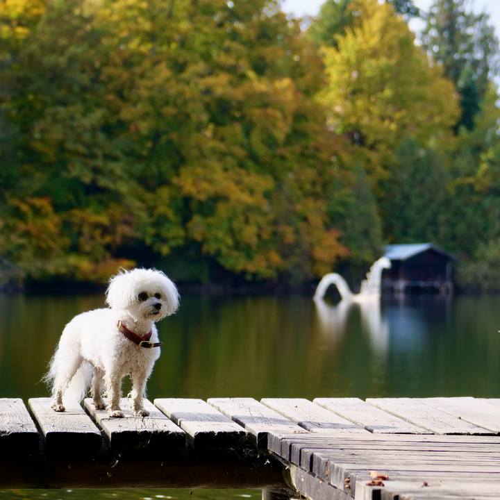 6eb6e492 a509 4c70 826c 0f33f83aab31 1762034896185