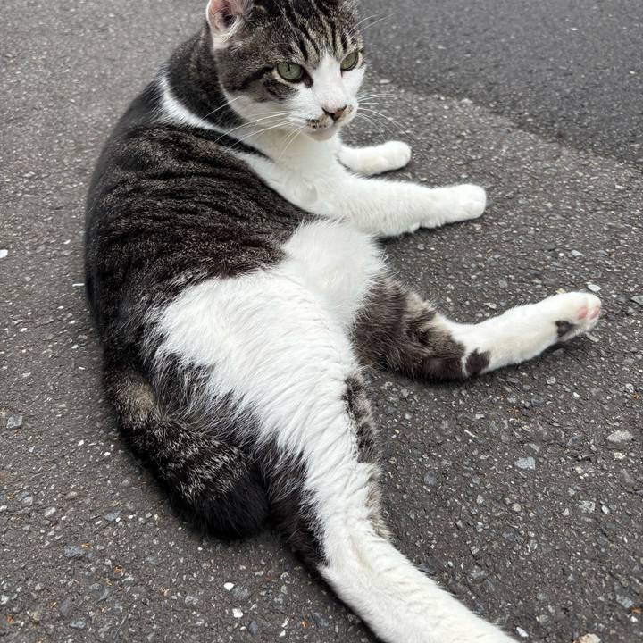 6eb70129 ca4b 4d22 b373 b4d382bc03d4 1751762011910