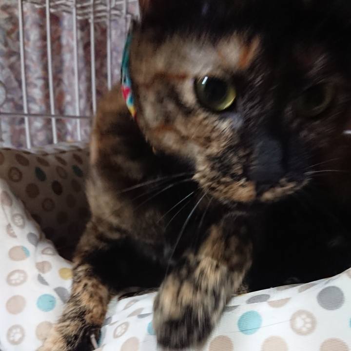 6eb70fce daf0 49d3 8a35 7acc90d480b9 1557410796828