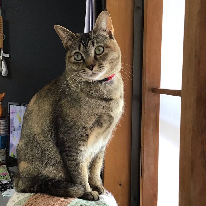 6eb736c4 e7b6 4090 848b b6e6ec1e4d57 1583558653639