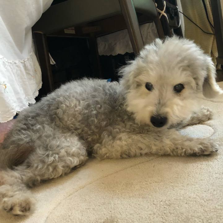 6eb759ad 6f9d 4128 8c1c 16de7346e942 1656288198518