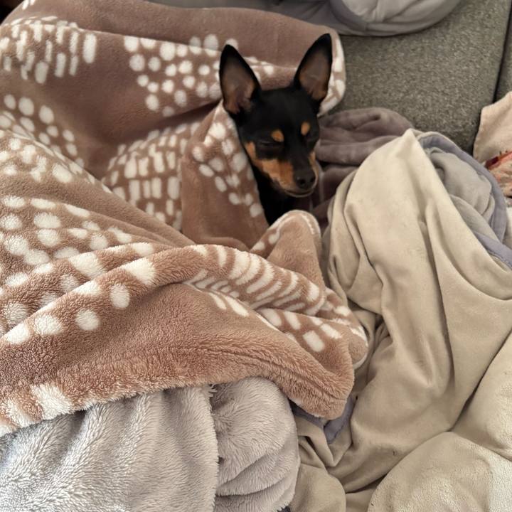 6eb7a675 c72e 4066 b51d f918253da78c 1769476001271