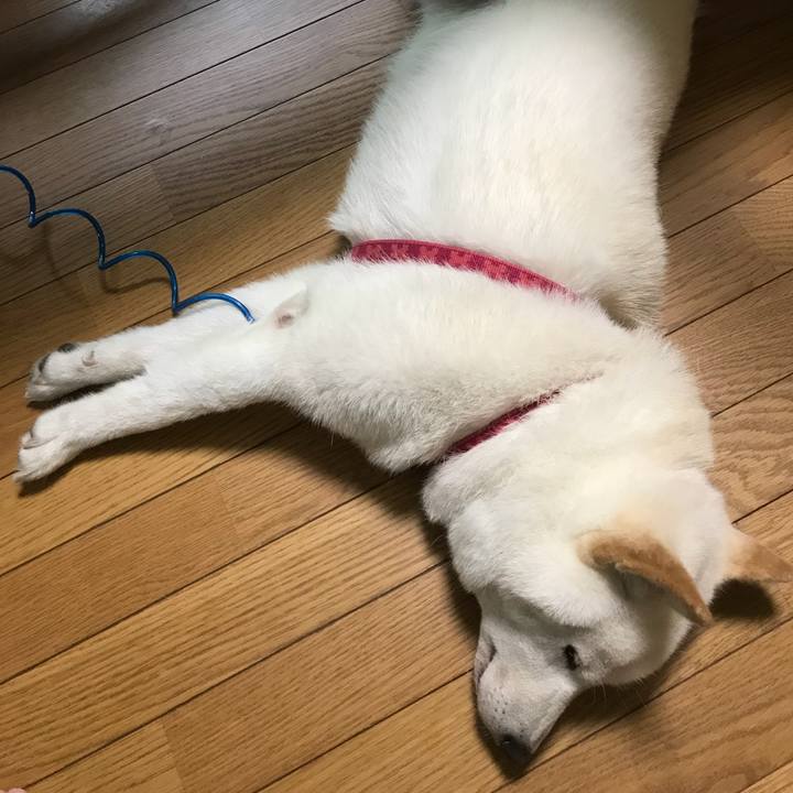 6eb7aa7e d118 4d84 a3f7 cc41b6e595dc 1534106837568