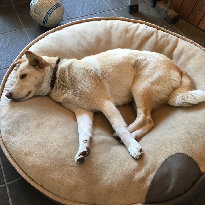 6eb7b86a 8c7d 41aa 852b b68beb6946c3 1524264778444