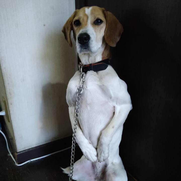 6eb7ec69 c1c5 4257 8ab5 02c42db260a8 1643171795569