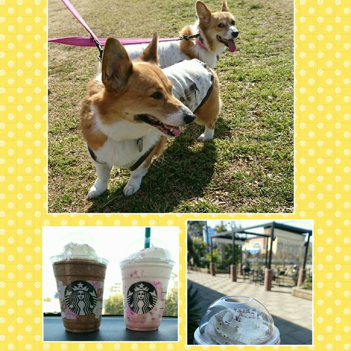 6eb7f6e2 cfd8 4d6f 9a9d 328aa7661e89 1550296814941