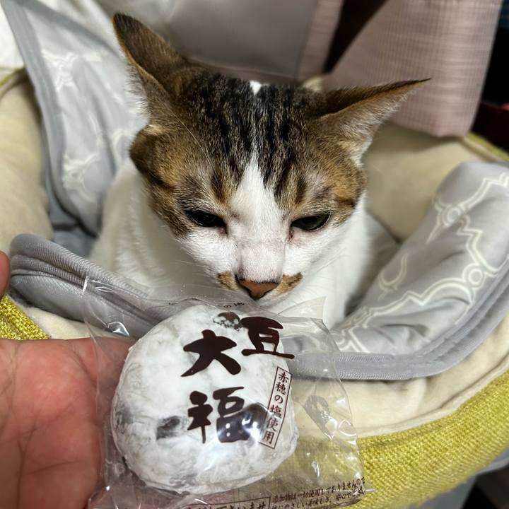 6eb7fd67 eb2d 44ed 9a3f 26c3da8d08ce 1758634455709