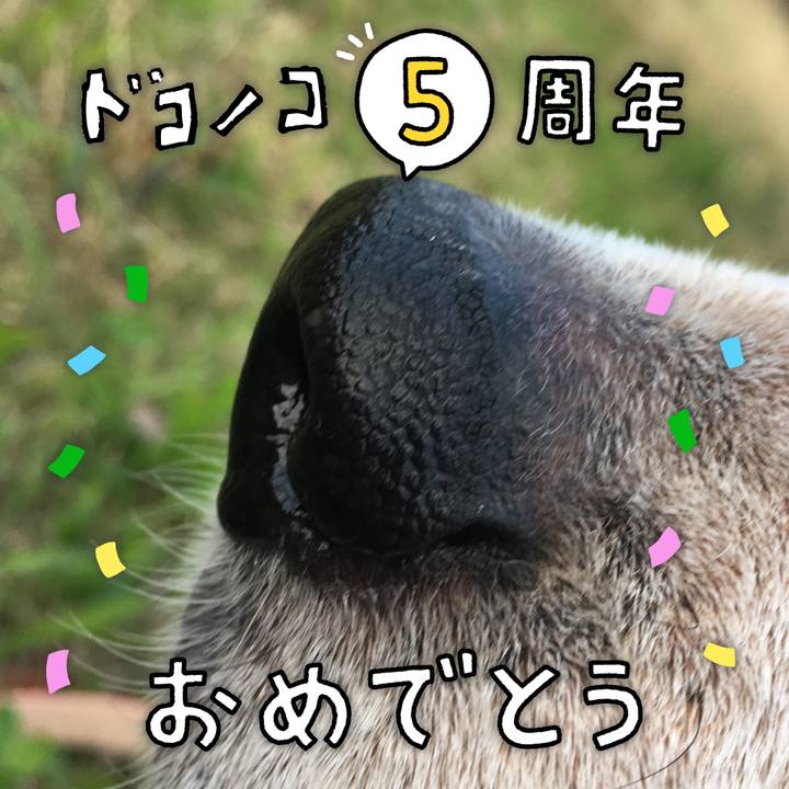 6eb81869 28e6 4185 99e4 464e43b0b16b 1622947024605