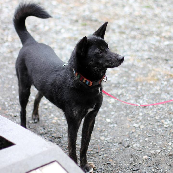 6eb81adf 9803 4935 900b cd171dfa3a5b 1515372899406