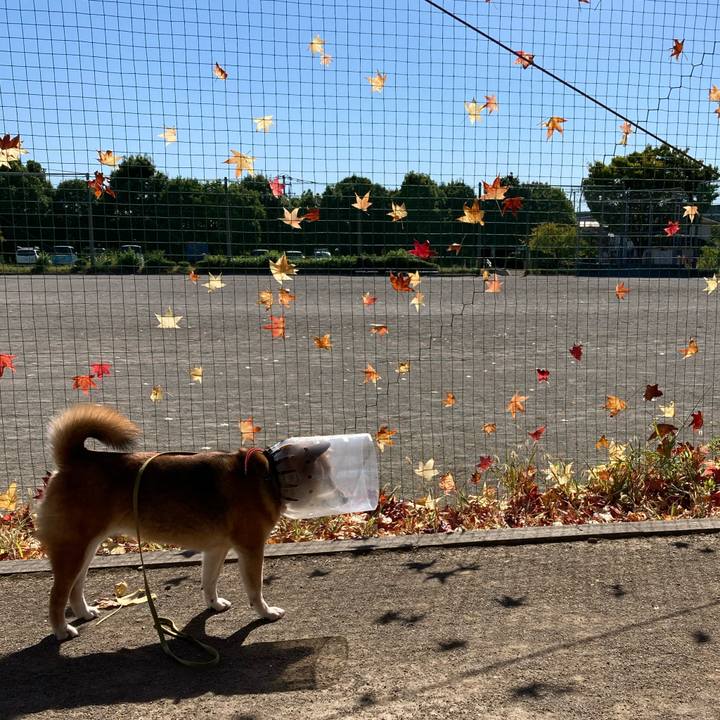 6eb8253d ba24 48d5 8f76 4b215402af6e 1666761289848