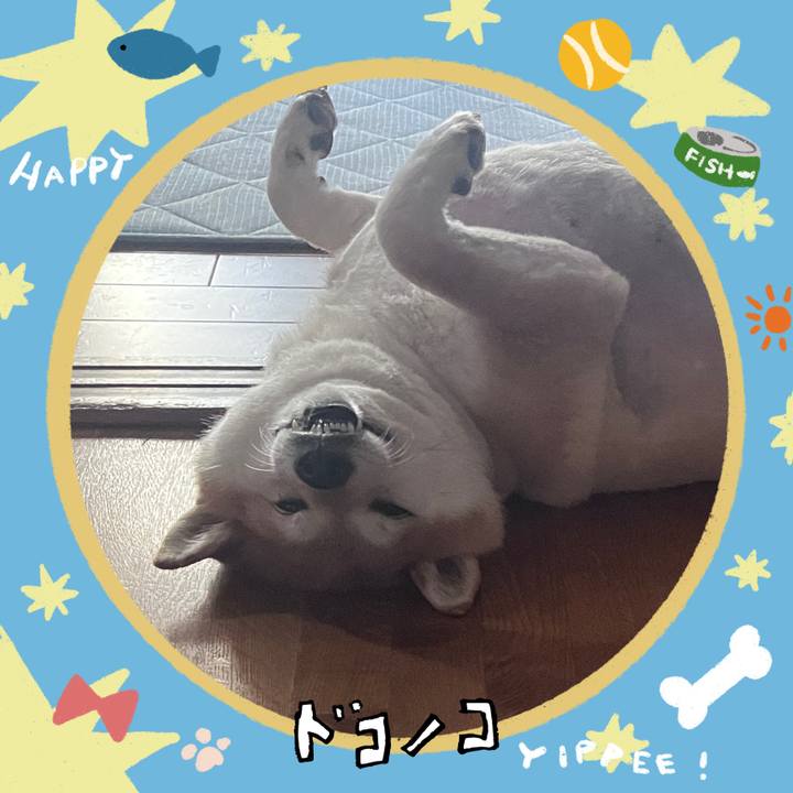 6eb84845 78f2 4f74 b785 f43b96c55da2 1720760687148