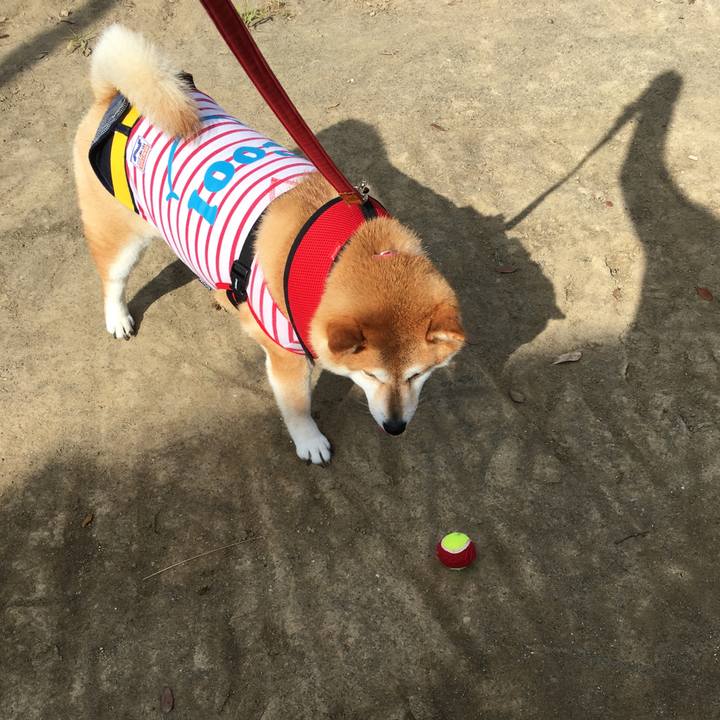 6eb8907f b3ac 4cce ab7b 8f40a5a9b035 1596412467915