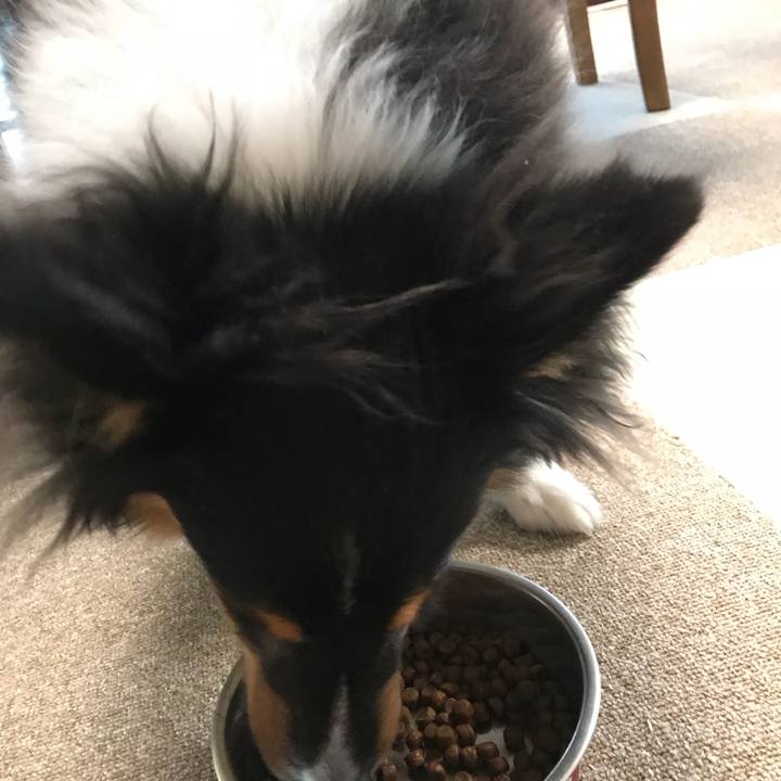 6eb890f1 a150 4f73 8935 62388f9b5925 1519594989151