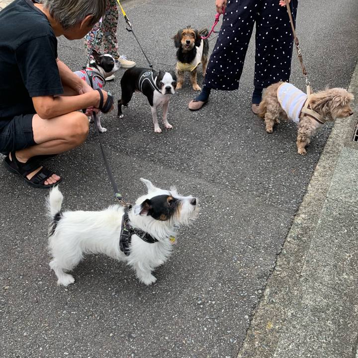 6eb8c60e f0cf 41b3 ad8d 78acf0f4e565 1663198583709