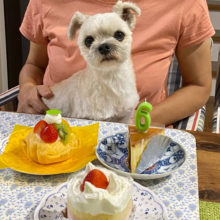 6eb8df44 5b60 4e2a a235 8657c169fd3c 1627644517110