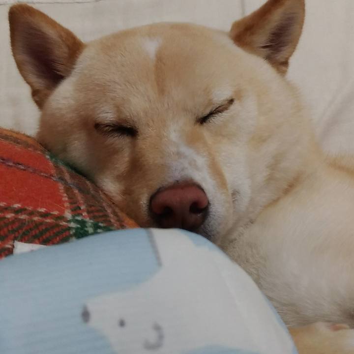 6eb904ee d19b 4844 8a1a ff9e9f75d54f 1522841637068