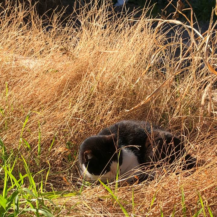 6eb909ed 6f22 4e53 9fcb 8e8386a55ab7 1614439173907