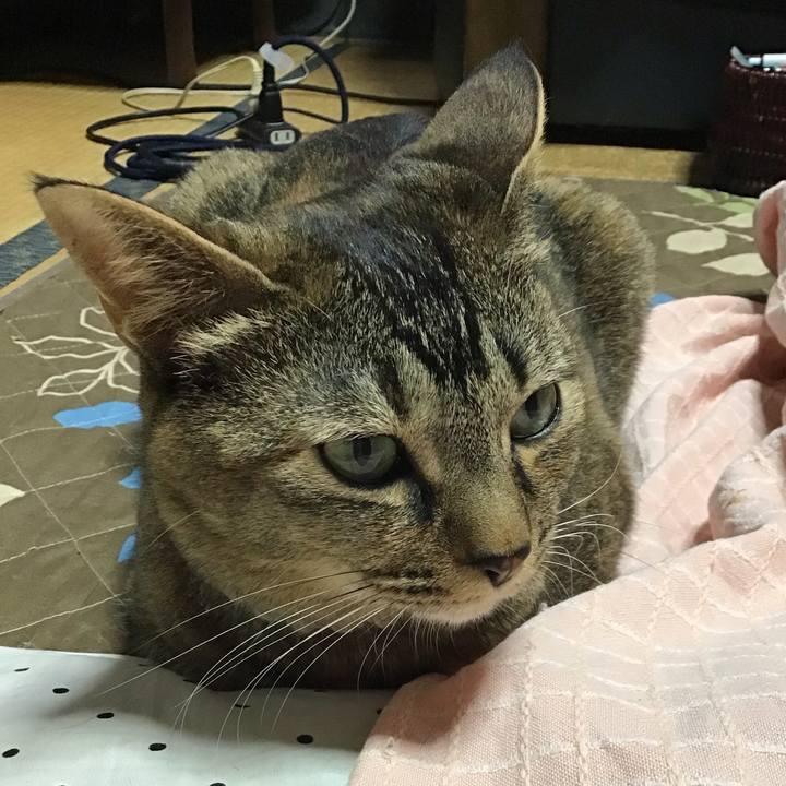 6eb9577b ae41 4add b467 3ed63c6de7e3 1651369945466