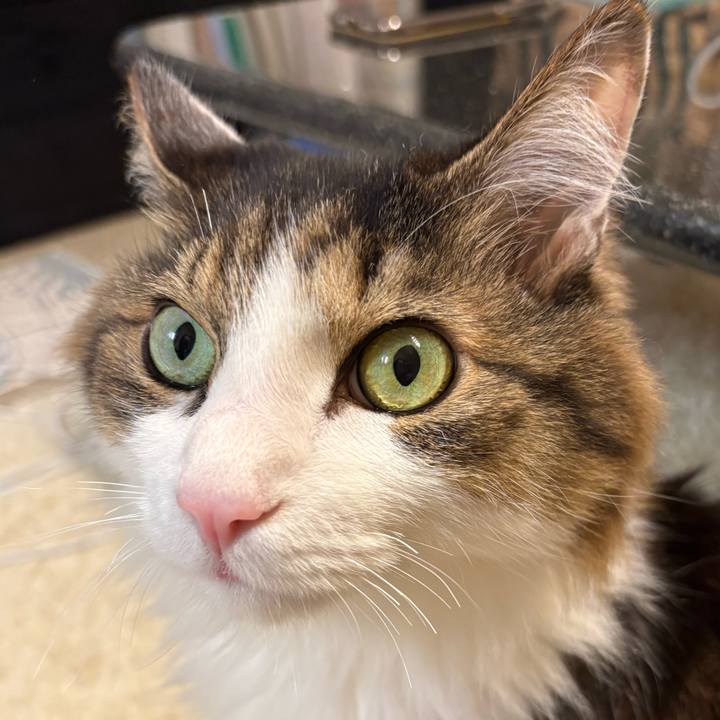 6eb98a0b 147b 4f59 b593 4fdf05f391ca 1738626060712