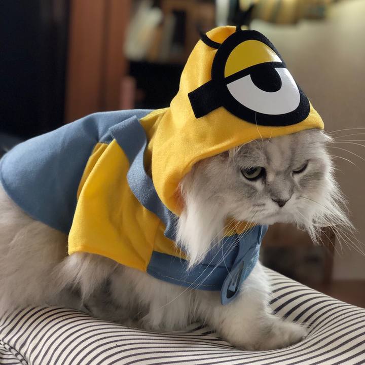 6eb9b715 2762 4dcd 99e1 daa43bd49c9f 1563110050892