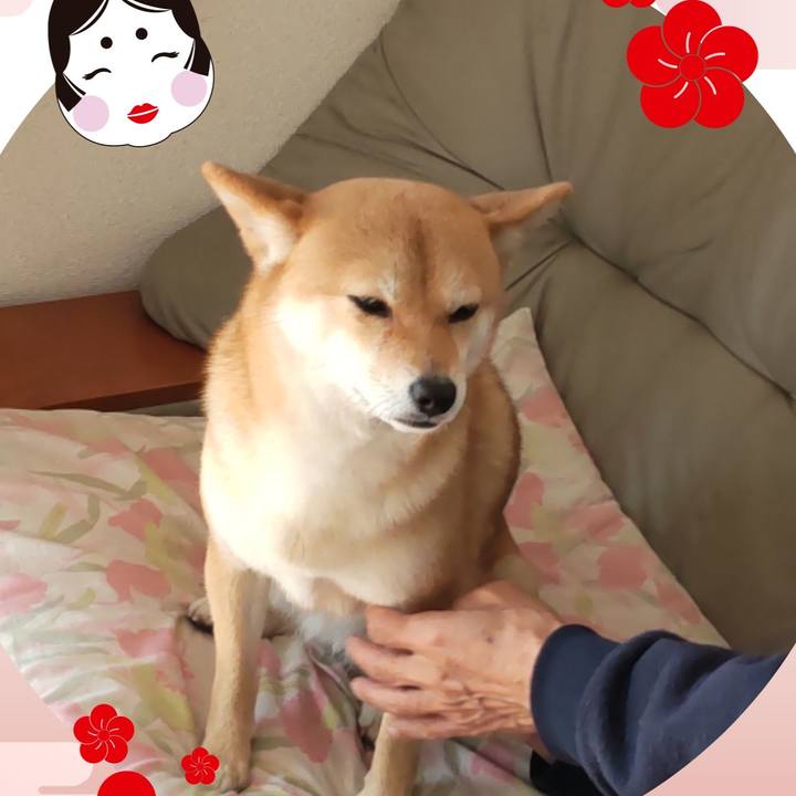 6eba07b2 eae2 4294 bf3e 2890cc8a6127 1675407132391