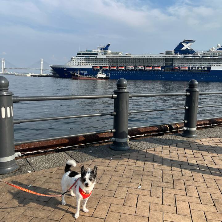 6eba2dcf b3a0 4daf 8bcd bc5f1f414a6d 1699162845574