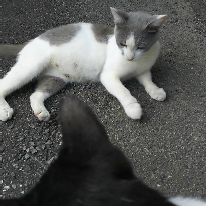 6eba4b7c 3e55 457d b298 0d0e2e0477c4 1532693394217