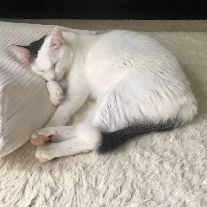 6ebaa78e e3b2 467a 9a0e 111b308c0acc 1536893711009