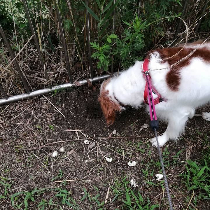 6ebaab9c ef3f 476d a263 852c57348d8f 1595375088010