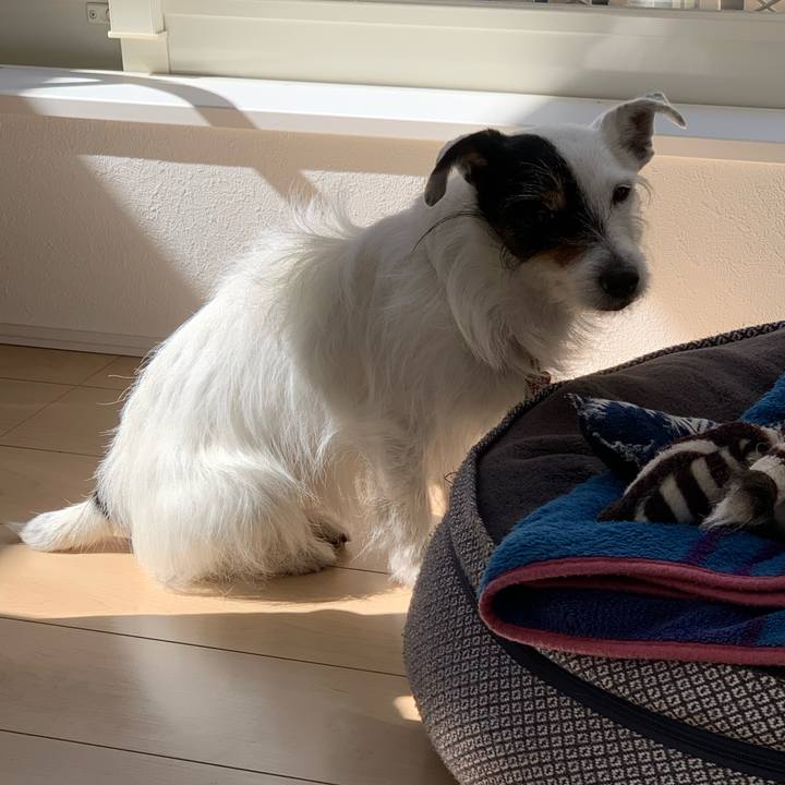 6ebabe18 7389 4999 9b85 20702bab6408 1709434448828