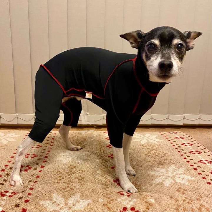 6ebad36a b6e2 4402 864f 863e53d59b66 1618490429904