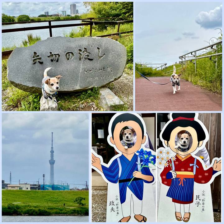 6ebb0d7f 02aa 4e50 8a25 5b59e26a1942 1684120844898