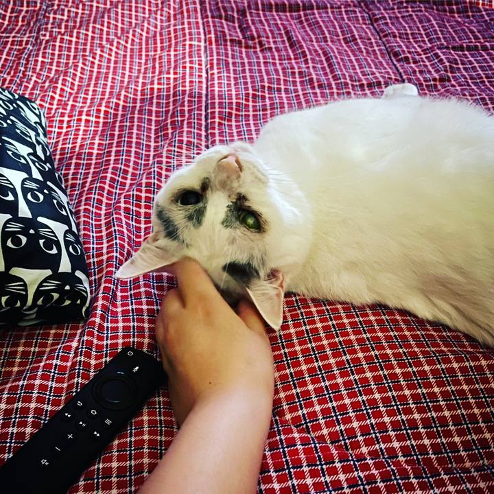 6ebb0e05 6a94 4a5e 8046 850941bb51ba 1634476096506