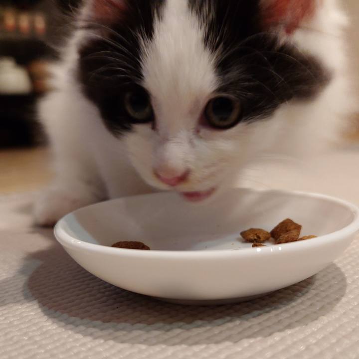 6ebb1bcd 01c7 468f b159 ed147d3b277c 1759070362357