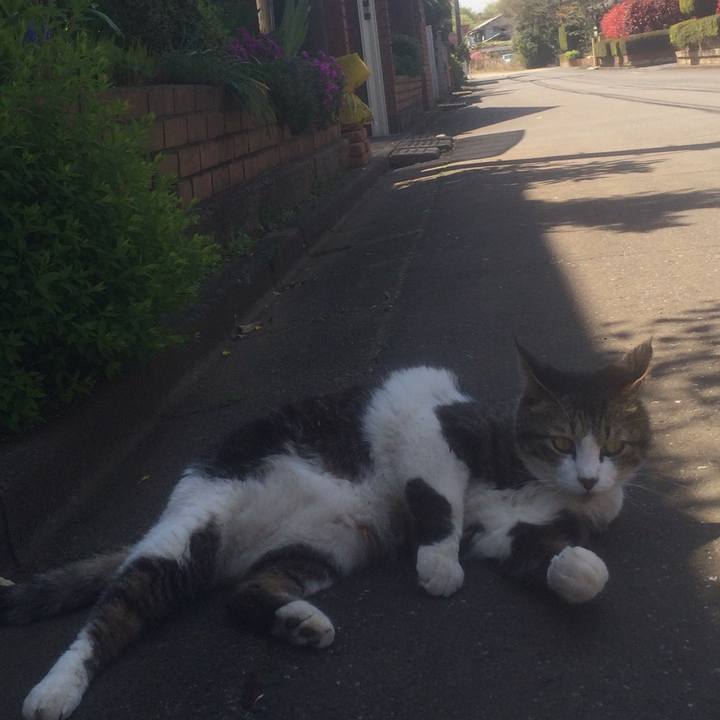 6ebb3e64 9d2c 41d9 b841 0434ba35fde2 1555570061762