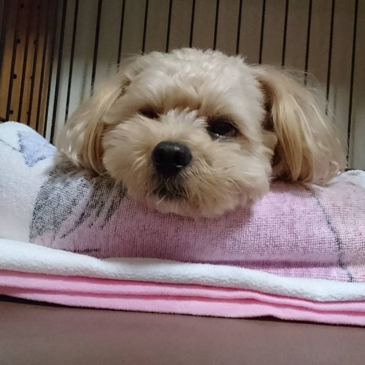 6ebb8dc8 c28e 4673 a9ea 6b2b824f8da9 1508879027067