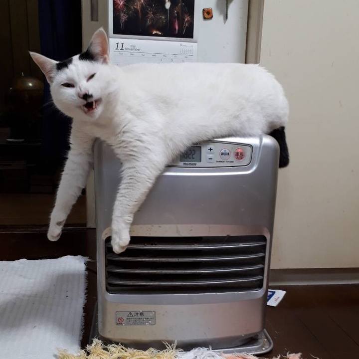 6ebb917f ce13 42cd a988 6b20b79eebed 1542361016344