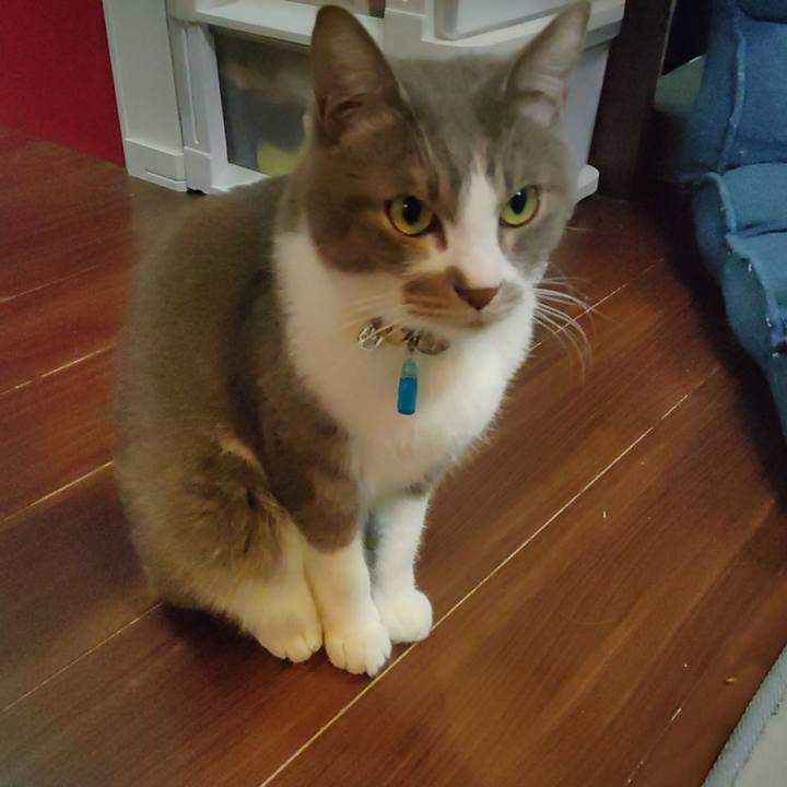 6ebbb0d0 4fdf 404c 856c 4870c8eb5ff5 1706137525840