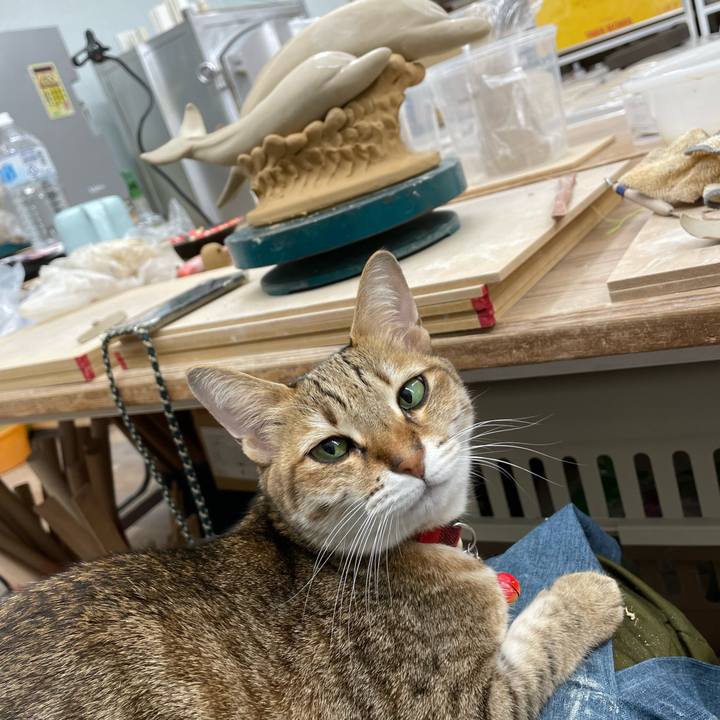 6ebbb22e dce5 4927 9e0f 3ee2af44b5b0 1672237306743